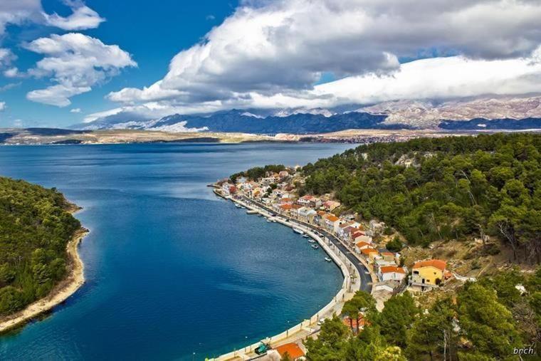 Apartment Marija Novigrad  Εξωτερικό φωτογραφία
